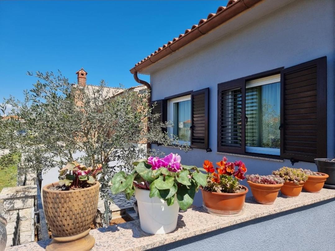 Ferienwohnung Frida Pula Exterior foto